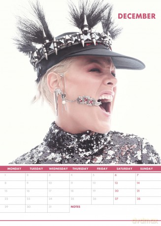 Pink: 2025 Calendar [KALENDARZ]