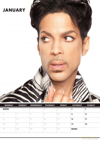 Prince: 2025 Calendar [KALENDARZ]