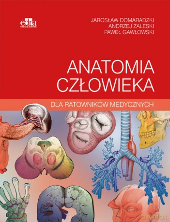 Anatomia człowieka dla ratowników medycznych - J. Domaradzki, Gawłowski P. [KSIĄŻKA]