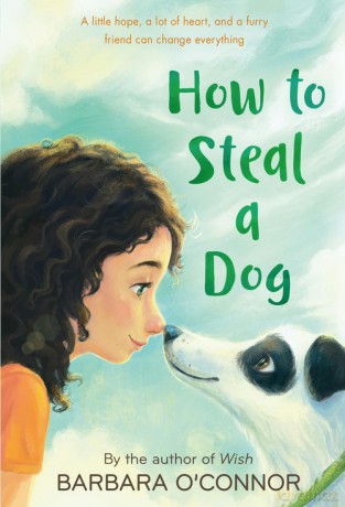 How to Steal a Dog - Barbara Oconnor [KSIĄŻKA]