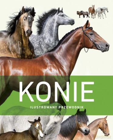 Konie. Ilustrowany przewodnik [KSIĄŻKA]