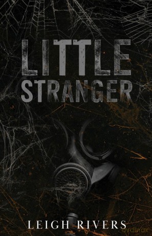 Little Stranger - Leigh Rivers [KSIĄŻKA]