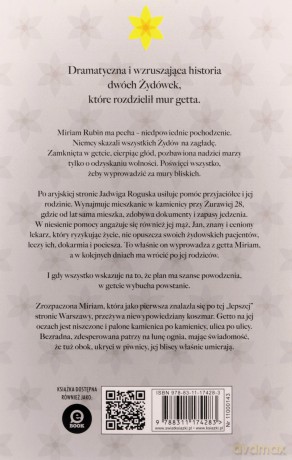 Miłość zostawiłam w getcie - Nina Majewska-Brown [KSIĄŻKA]