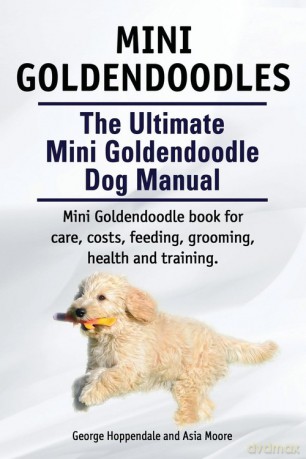 Mini Goldendoodles. The Ultimate Mini Goldendoodle Dog Manual. Miniature Goldendoodle book for care, costs, feeding, grooming, health and training. - George Hoppendale [KSIĄŻKA]