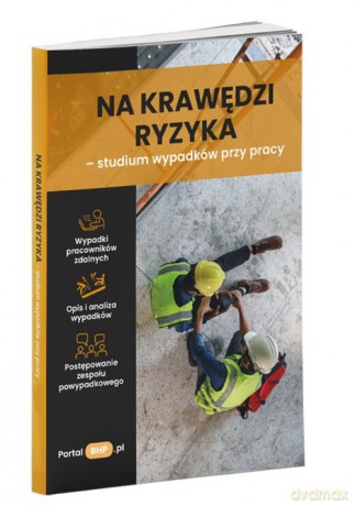 Na krawędzi ryzyka - studium wypadków przy pracy [KSIĄŻKA]