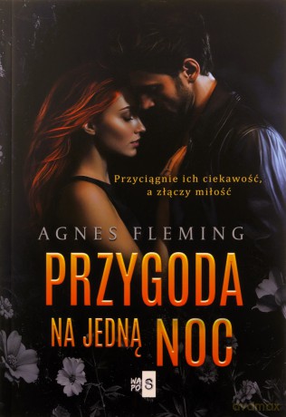 Przygoda na jedną noc - Agnes Fleming [KSIĄŻKA]