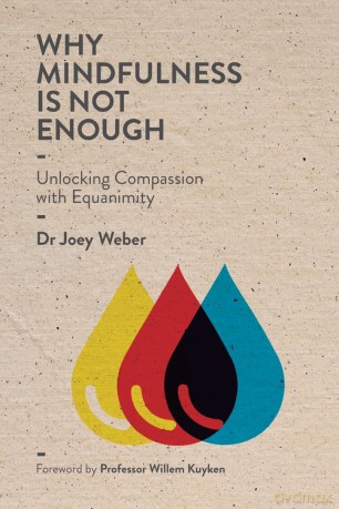 Why Mindfulness is not Enough - Joey Weber [KSIĄŻKA]