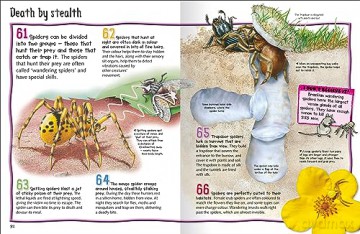 100 Facts Spiders [KSIĄŻKA]