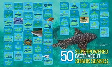 1000 Facts About Sharks - Sarah Wassner Flynn [KSIĄŻKA]