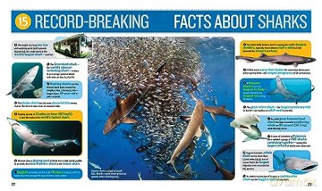1000 Facts About Sharks - Sarah Wassner Flynn [KSIĄŻKA]