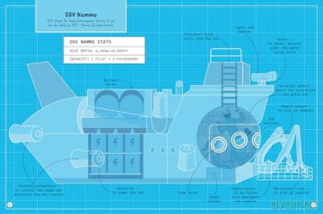 24 Hours Under the Ocean (24 Hours In...) - Lan Cook [KSIĄŻKA]