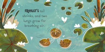 5 Minute Nature Story Box: First science concepts for growing minds! (5 Minute Stories) - Gabby Dawnay [KSIĄŻKA]