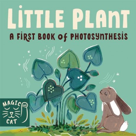 5 Minute Nature Story Box: First science concepts for growing minds! (5 Minute Stories) - Gabby Dawnay [KSIĄŻKA]