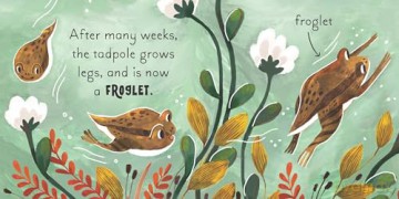 5 Minute Nature Story Box: First science concepts for growing minds! (5 Minute Stories) - Gabby Dawnay [KSIĄŻKA]