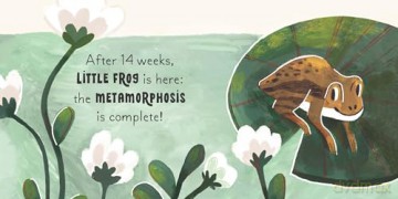 5 Minute Nature Story Box: First science concepts for growing minds! (5 Minute Stories) - Gabby Dawnay [KSIĄŻKA]