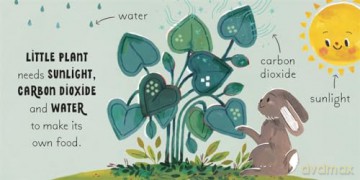 5 Minute Nature Story Box: First science concepts for growing minds! (5 Minute Stories) - Gabby Dawnay [KSIĄŻKA]