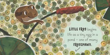 5 Minute Nature Story Box: First science concepts for growing minds! (5 Minute Stories) - Gabby Dawnay [KSIĄŻKA]