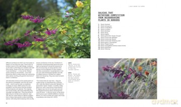 A Beautiful Obsession: Jimi Blake's World of Plants at Hunting Brook Gardens - Jimi Blake [KSIĄŻKA]