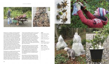 A Beautiful Obsession: Jimi Blake's World of Plants at Hunting Brook Gardens - Jimi Blake [KSIĄŻKA]