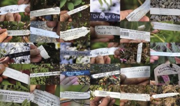 A Beautiful Obsession: Jimi Blake's World of Plants at Hunting Brook Gardens - Jimi Blake [KSIĄŻKA]