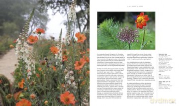 A Beautiful Obsession: Jimi Blake's World of Plants at Hunting Brook Gardens - Jimi Blake [KSIĄŻKA]
