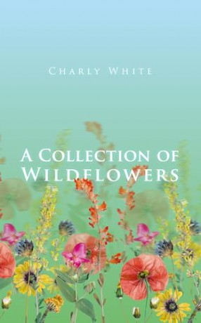 A Collection of Wildflowers - Charly White [KSIĄŻKA]