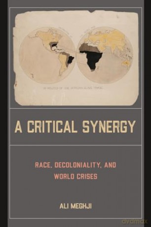 A Critical Synergy: Race, Decoloniality, and World Crises - Ali Meghji [KSIĄŻKA]