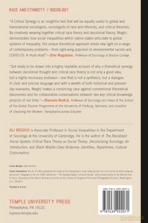 A Critical Synergy: Race, Decoloniality, and World Crises - Ali Meghji [KSIĄŻKA]
