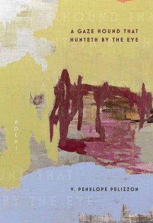 A Gaze Hound That Hunteth By the Eye: Poems (Pitt Poetry Series) [KSIĄŻKA]