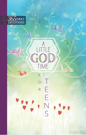 A Little God Time for Teens: One Year Devotional Hardcover April 1, 2016: 365 Daily Devotions [KSIĄŻKA]