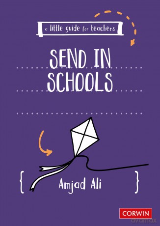 A Little Guide for Teachers: SEND in Schools - Amjad Ali [KSIĄŻKA]