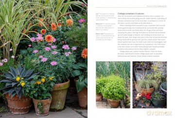 A New Cottage Garden: A practical guide to creating a picture-perfect cottage garden - Mark Bolton [KSIĄŻKA]