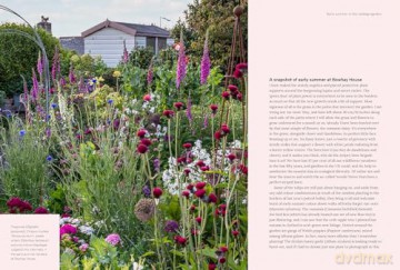 A New Cottage Garden: A practical guide to creating a picture-perfect cottage garden - Mark Bolton [KSIĄŻKA]