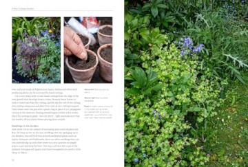 A New Cottage Garden: A practical guide to creating a picture-perfect cottage garden - Mark Bolton [KSIĄŻKA]