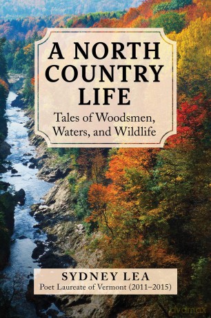 A North Country Life: Tales of Woodsmen, Waters, and Wildlife - Sydney Lea [KSIĄŻKA]
