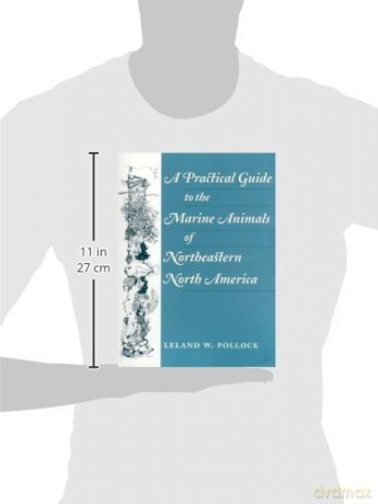 A Practical Guide to the Marine Animals of Northeastern North America - Leland Pollock [KSIĄŻKA]
