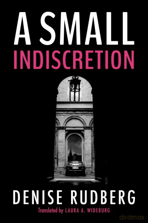 A Small Indiscretion - Denise Rudberg [KSIĄŻKA]