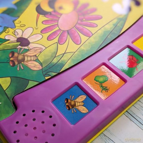 A SOUND BOARD BOOK INSECTS (Paperback) (Jan 01, 2017) NORTH PARADE [KSIĄŻKA]