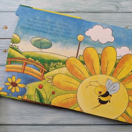 A SOUND BOARD BOOK INSECTS (Paperback) (Jan 01, 2017) NORTH PARADE [KSIĄŻKA]