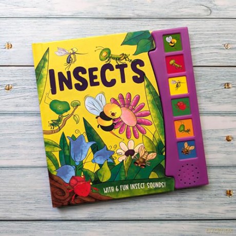A SOUND BOARD BOOK INSECTS (Paperback) (Jan 01, 2017) NORTH PARADE [KSIĄŻKA]