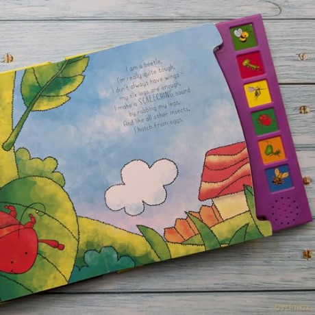 A SOUND BOARD BOOK INSECTS (Paperback) (Jan 01, 2017) NORTH PARADE [KSIĄŻKA]