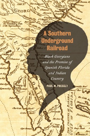 A Southern Underground Railroad: Black Georgians and the Promise of Spanish Florida and Indian Country (Early American Places Series) [KSIĄŻKA]