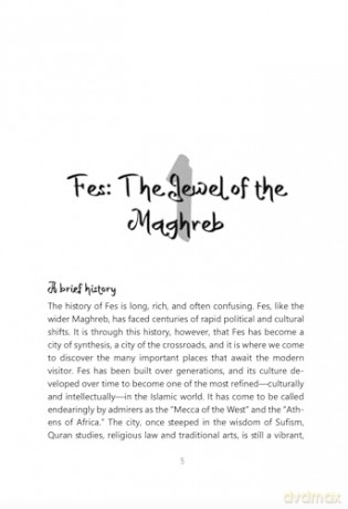 A Spiritual Guide to Fes: City of Saints: 1 (Spiritual Guides) - Peter Dzeidzic [KSIĄŻKA]