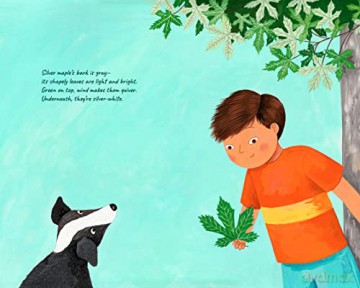 A Tree for Me: A Picture Book - Gerber Perez Garcia [KSIĄŻKA]