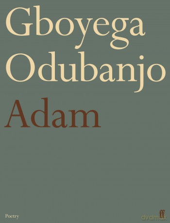 Adam - Gboyega Odubanjo [KSIĄŻKA]