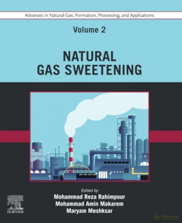 Advances in Natural Gas: Formation, Processing, and Applications. Volume 2: Natural Gas Sweetening (Formation, Processing and Applications, 2) - Mohammad R Rahimpour [KSIĄŻKA]
