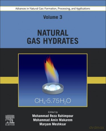 Advances in Natural Gas: Formation, Processing, and Applications. Volume 3: Natural Gas Hydrates (Formation, Processing and Applications, 3) - Mohammad R Rahimpour [KSIĄŻKA]