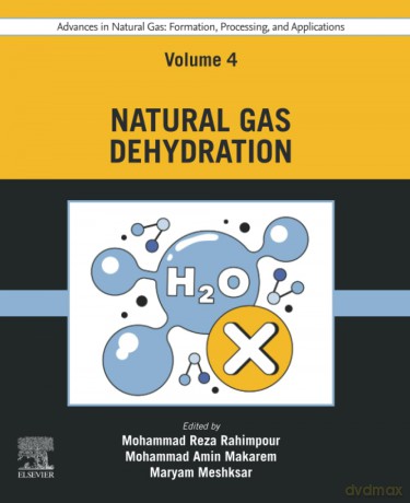 Advances in Natural Gas: Formation, Processing, and Applications. Volume 4: Natural Gas Dehydration (Advances in Natural Gas: Formation, Processing and Applications, 4) - Mohammad R Rahimpour [KSIĄŻKA]