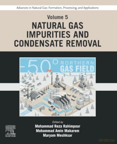 Advances in Natural Gas: Formation, Processing, and Applications. Volume 5: Natural Gas Impurities and Condensate Removal (Advances in Natural Gas: Formation, Processing and Applications, 5) - Mohammad R Rahimpour [KSIĄŻKA]