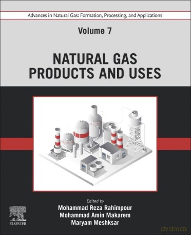 Advances in Natural Gas: Formation, Processing, and Applications. Volume 7: Natural Gas Products and Uses (Advances in Natural Gas: Formation, Processing and Applications, 7) - Mohammad R Rahimpour [KSIĄŻKA]